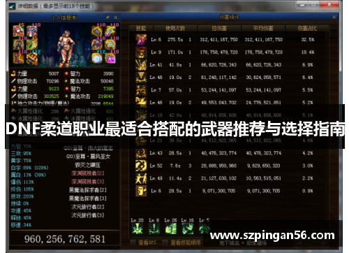 DNF柔道职业最适合搭配的武器推荐与选择指南