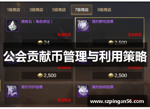 公会贡献币管理与利用策略